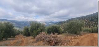 Wohngrundstück in Villanueva del Arzobispo