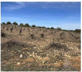 Residential Plot in Belmonte de Tajo