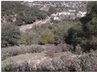 Terreno residenziale in Benaoján