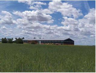 Locale commerciale in San Vicente del Palacio