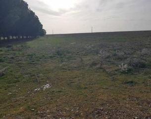 Terreny residencial a San Vicente del Palacio