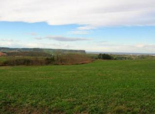 Terreno residenziale in Arnuero