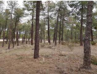 Terreno residencial en Arévalo