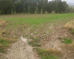 Terreny residencial a Algámitas