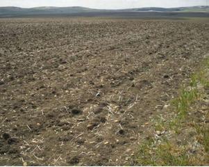 Residential Plot in Cañete la Real