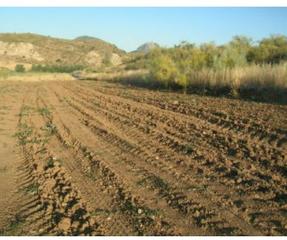 Residential Plot in Villaturiel