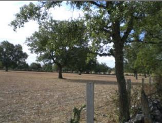Residential Plot in Villares de Yeltes