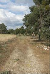 Residential Plot in Villanueva de Gómez