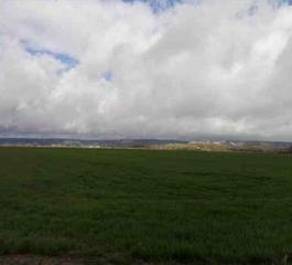 Terreny residencial a Palenzuela