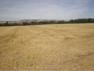 Residential Plot in Palenzuela