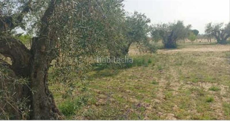 Foto e928e7f8-8bb8-48c2-8158-9ac2e30d3c7e. Terreno residenziale in Puebla de Montalbán (La)