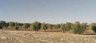 Terreno residenziale in Mazarambroz