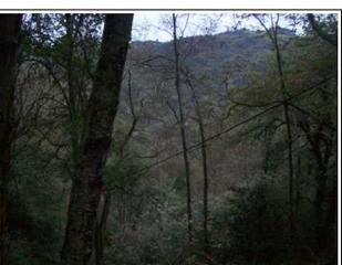 Terrain résidentiel à Cabranes