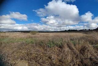 Wohngrundstück in Centro
