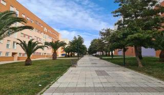 Flat in Casco Antiguo