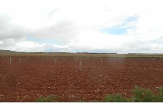 Terreny residencial a Campo de Criptana