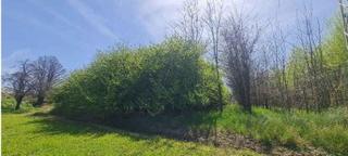 Wohngrundstück in Guadix