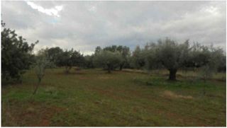 Residential Plot in Sant Joan de Moró
