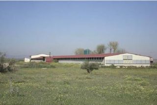 Residential Plot in Herencia
