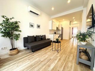 Appartement  Alondra. Piso tipo loft recién reformado y accesible