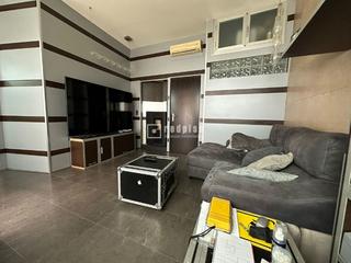 Loft a Rosa de Luxemburgo