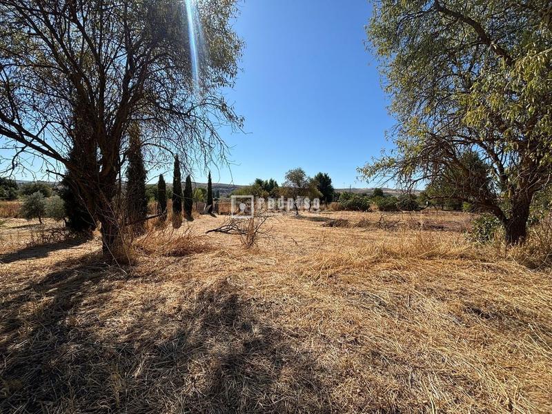 Foto 7304d6e4-f28f-4e96-b710-980e2da287dc. Chalet en Villaconejos