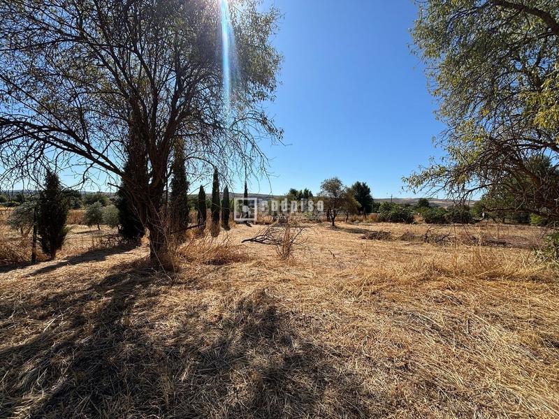 Foto b1f32729-873f-477a-862f-cb9820f017a4. Chalet en Villaconejos