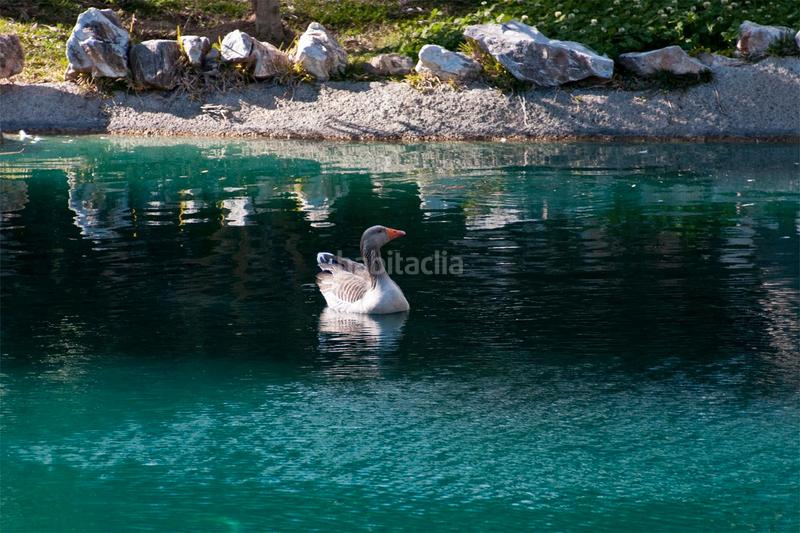 Foto 425f5d0c-cdc0-4759-a5fc-78f5561d6512. Promotion NEBRALES  R6 dans Coín. Logements de biens neufs