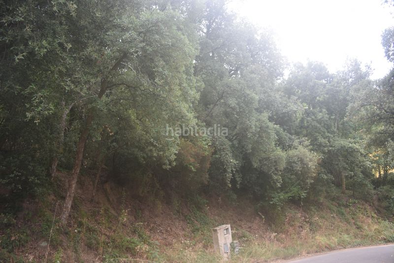 Foto b5b9ea33-0ce7-47b5-a6b3-99a303d23e85. Wohngrundstück in Arbúcies