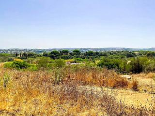 Terreny residencial a Sotogrande Alto