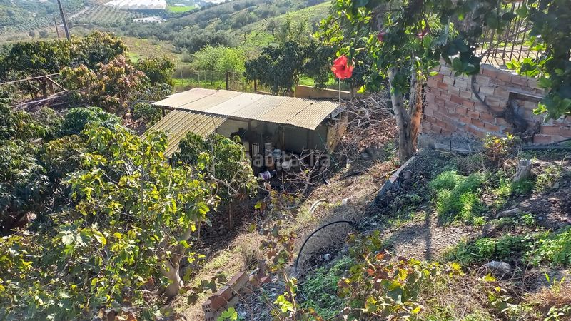 Foto 6e11371f-2c84-43ac-a051-89eb70ea9f2f. Finca rústica a Almayate Bajo