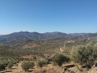 Solar industrial en Viñuela. Se vende impresionante terreno de 39 ha