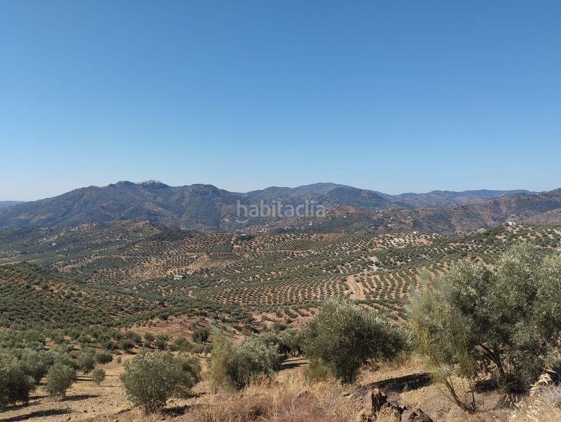 Foto f9d6588f-296b-43fb-9894-9e2499b25e02. Area edificabile industriale in Viñuela