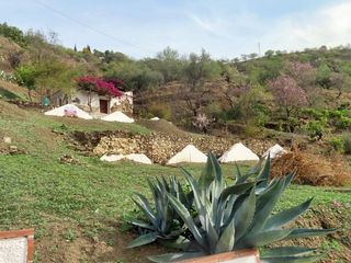 Finca rústica a Arenas. Parcela en daimalos