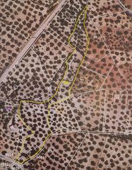 Rural plot in Riogordo. Terreno de 14500m2