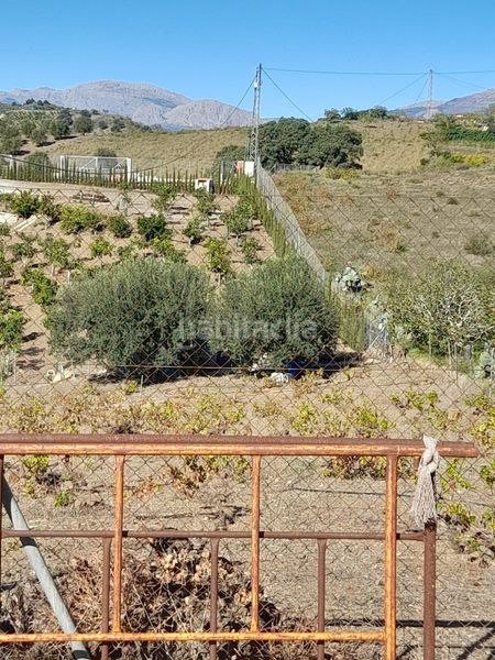 Foto c3acc672-6259-4080-8216-c8a60a5196a0. Casa a Norte - Barrio del Pilar - El Reñidero Vélez - Málaga