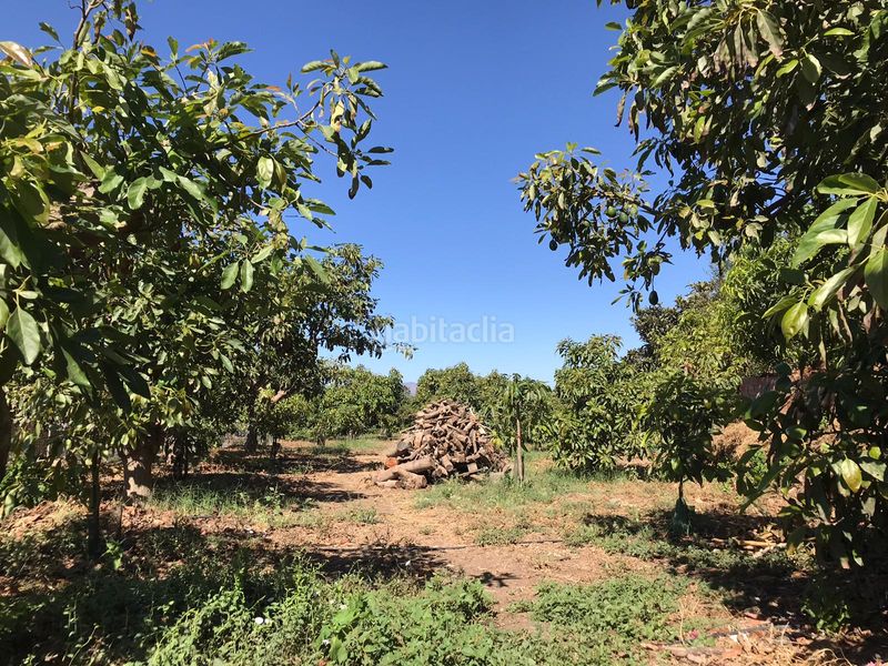 Foto 1343501f-2ef9-4cd4-b7ad-a4da61640652. Casa a Caleta de Velez