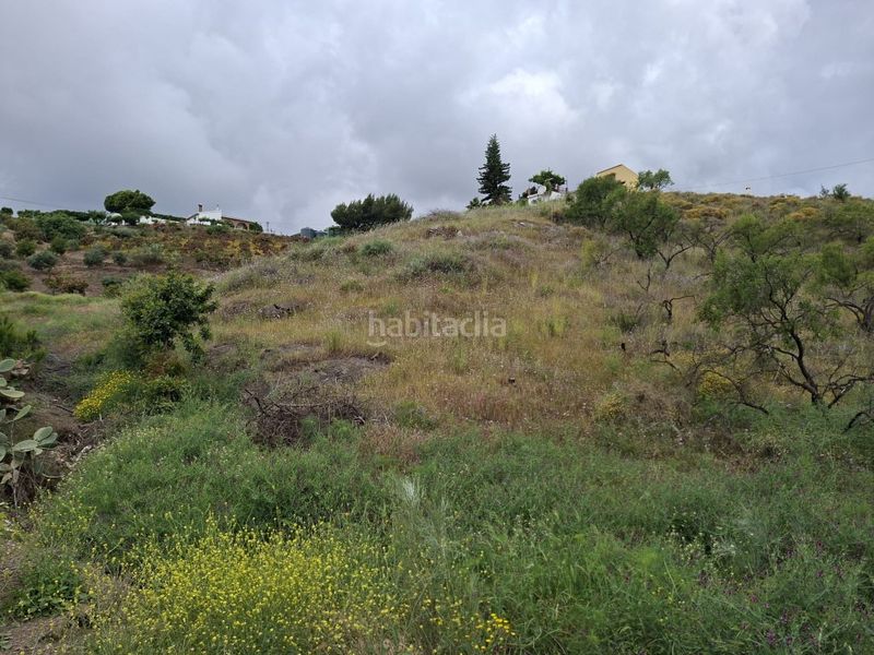 Foto 4c8edefc-379e-4712-ae97-63b91eed284b. Finca rústica a Viñuela