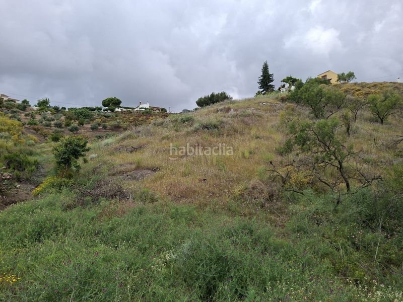 Foto b66678e5-0a32-4203-baf8-cfb59cd647fc. Finca rústica a Viñuela