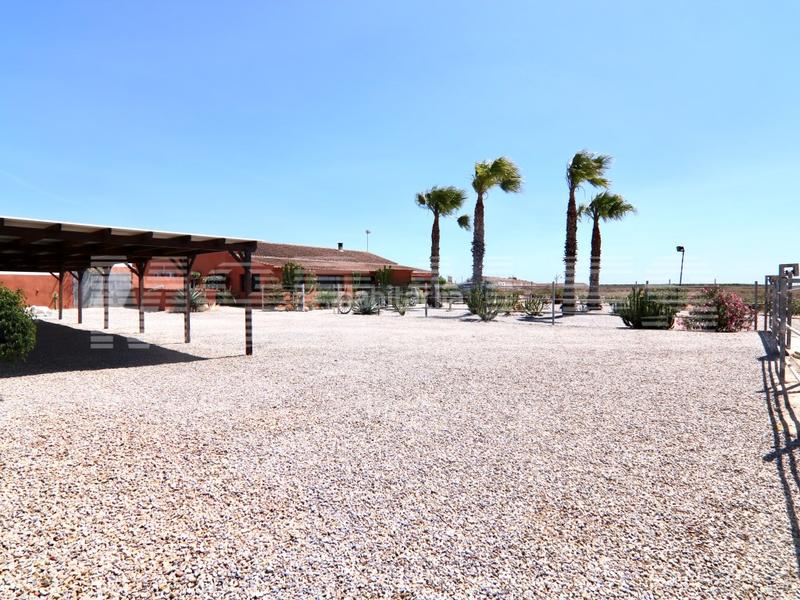 Foto a5a9041b-48bb-4395-8bb8-6c7908a7100b. House with parking pool in Las Cánovas - Cuevas de Reyllo Fuente Álamo de Murcia