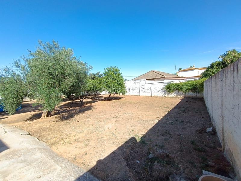 Foto 2faea332-b85f-4843-878a-e4e02f67f5f8. Finca rústica a La Hacienda - Nueva Andalucía Dos Hermanas