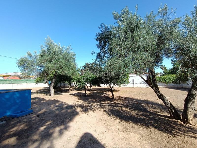 Foto 5f621770-f7f8-4d91-b391-954415a65468. Finca rústica a La Hacienda - Nueva Andalucía Dos Hermanas