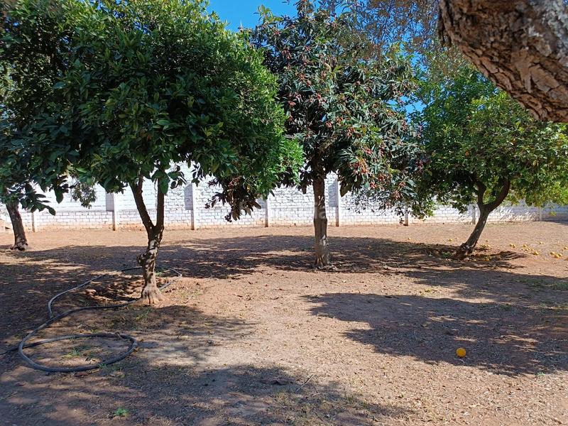 Foto 95c52e3f-545d-40ad-a78b-e82324402948. Finca rústica a La Hacienda - Nueva Andalucía Dos Hermanas