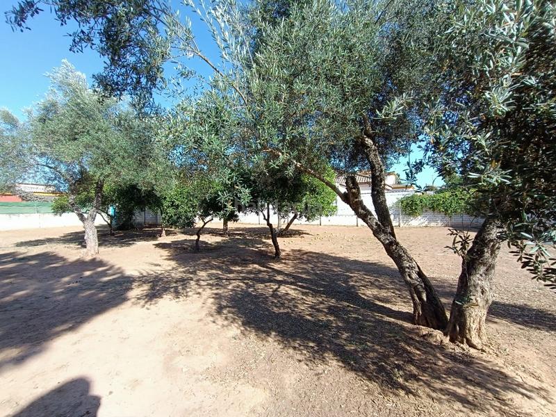 Foto a17715af-812e-47c5-9430-608149481eb5. Finca rústica a La Hacienda - Nueva Andalucía Dos Hermanas