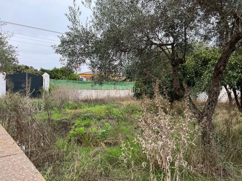 Foto c05b1855-d3a7-4004-990a-194fb6783051. Finca rústica a La Hacienda - Nueva Andalucía Dos Hermanas