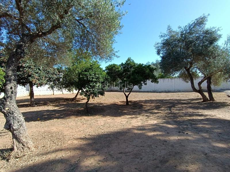 Foto fdc7c028-a3e7-4b43-afb8-087b89cc5fe5. Finca rústica a La Hacienda - Nueva Andalucía Dos Hermanas