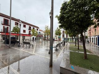 Local Comercial en Calle la Mina 9