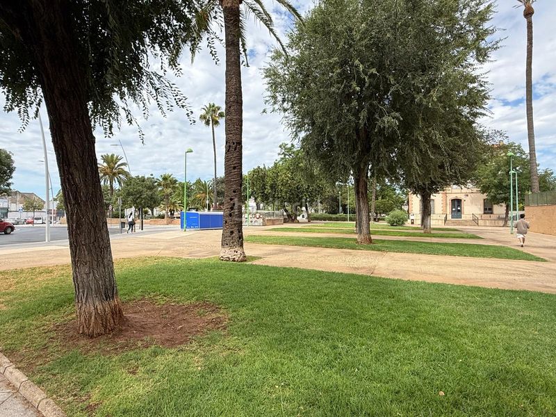 Foto 42d031b2-7bb9-4d1d-b723-86410ea658c3. Pis a avenida cristóbal colón 38 a El Arenal - La Pólvora Dos Hermanas