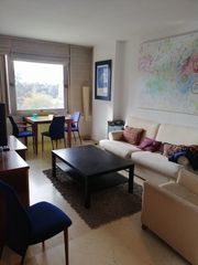 Lloguer Pis  Ruiz de alda. Piso en alquiler en porvenir, 1 dormitorio.