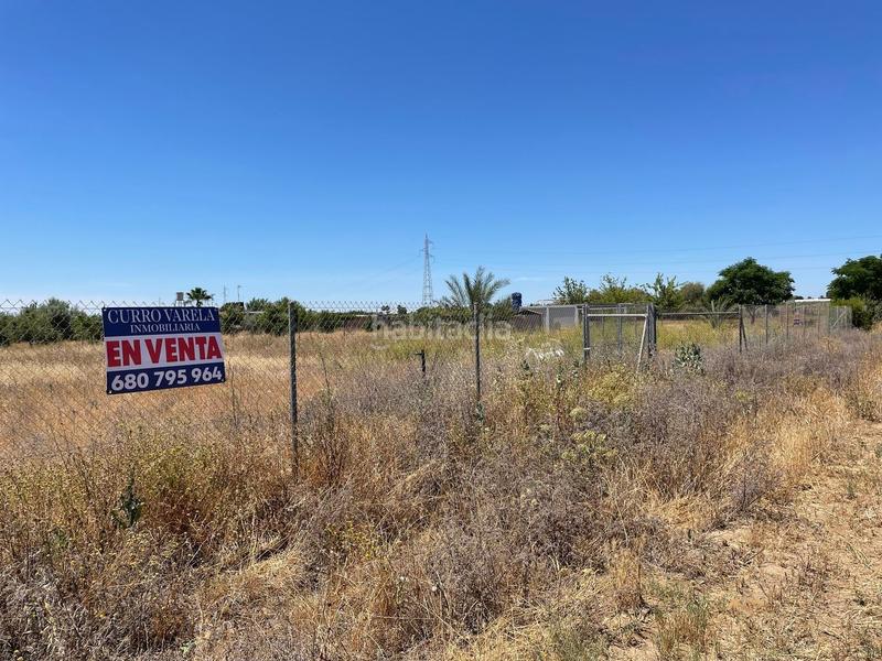 Foto 8f12402f-ade1-443c-845b-24dd7545581b. Fondo rustico in don rodrigo 0 in Pedanías Norte Utrera